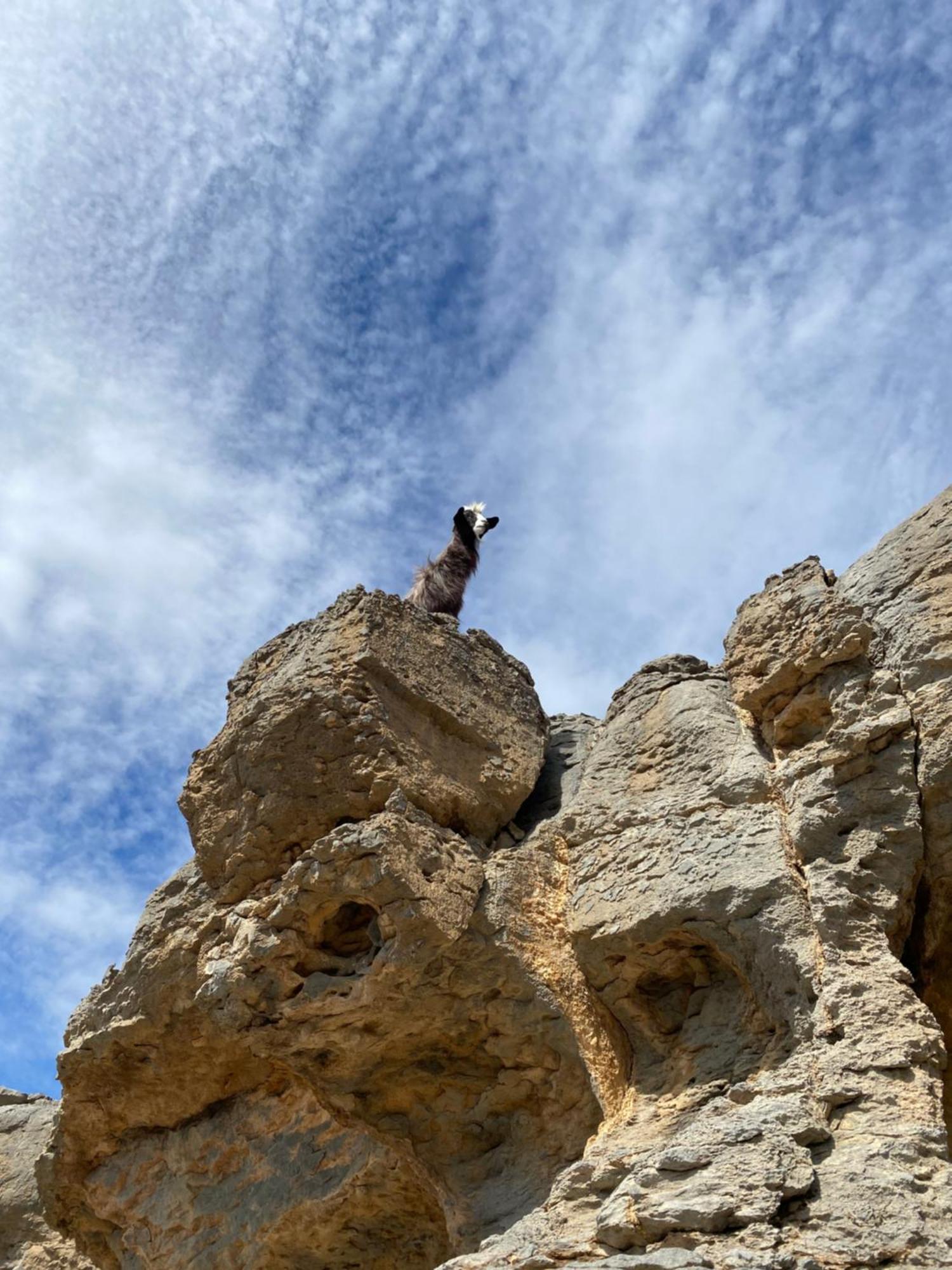 Panorama Guest House Jabal Shams Saab Bani Khamis Esterno foto